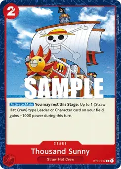 Thousand Sunny Straw Hat Crew