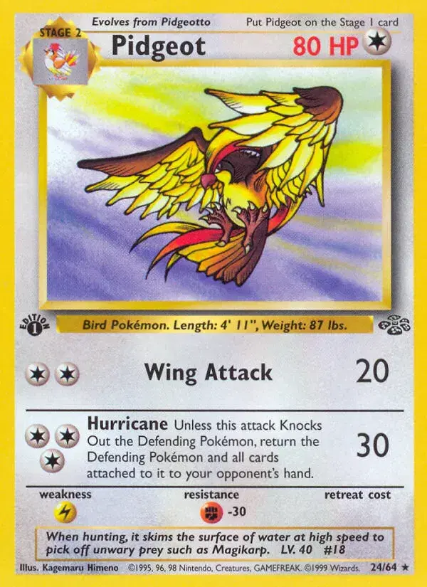 Pidgeot Jungle 24