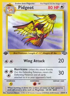 Pidgeot Jungle