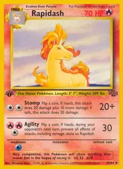 Rapidash Jungle