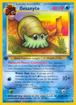 Omanyte Fossil