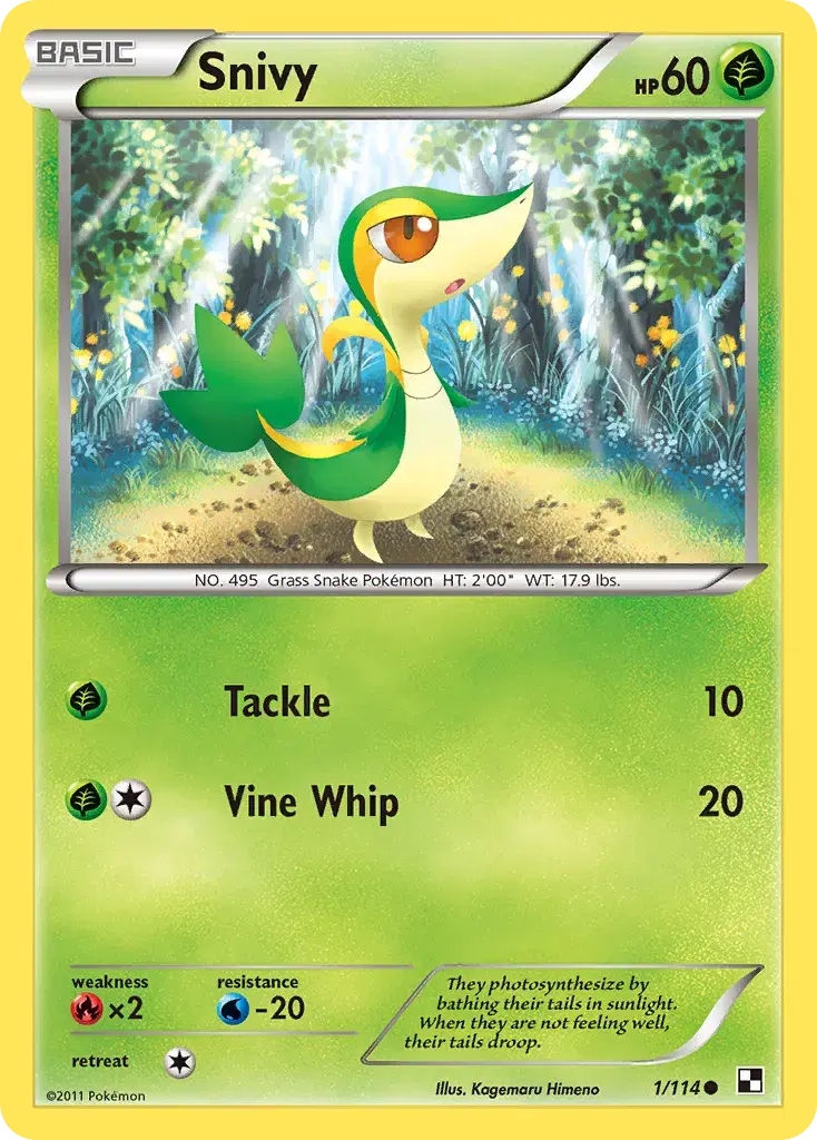 Snivy Black & White 1