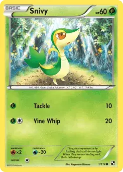 Snivy Black & White