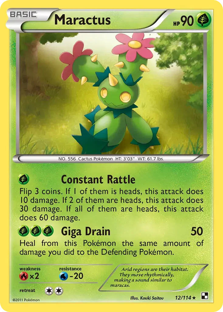 Maractus Black & White 12