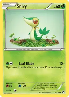 Snivy Black & White