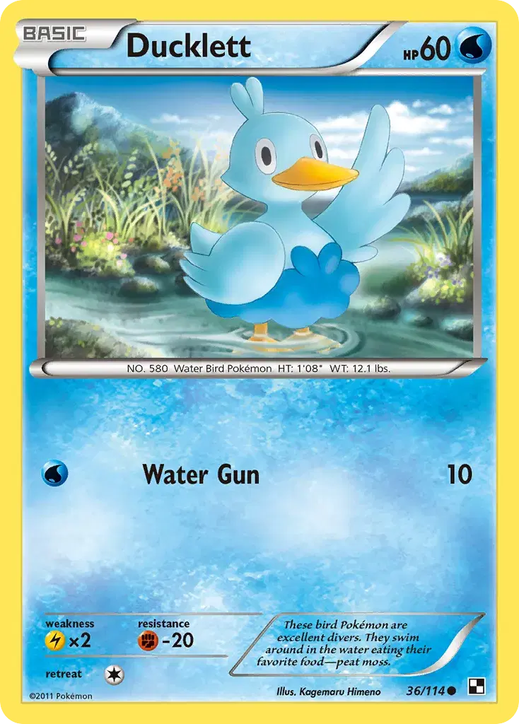 Ducklett Black & White 36