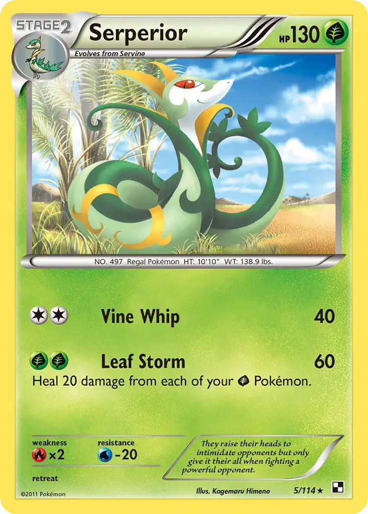 Serperior Black & White 5