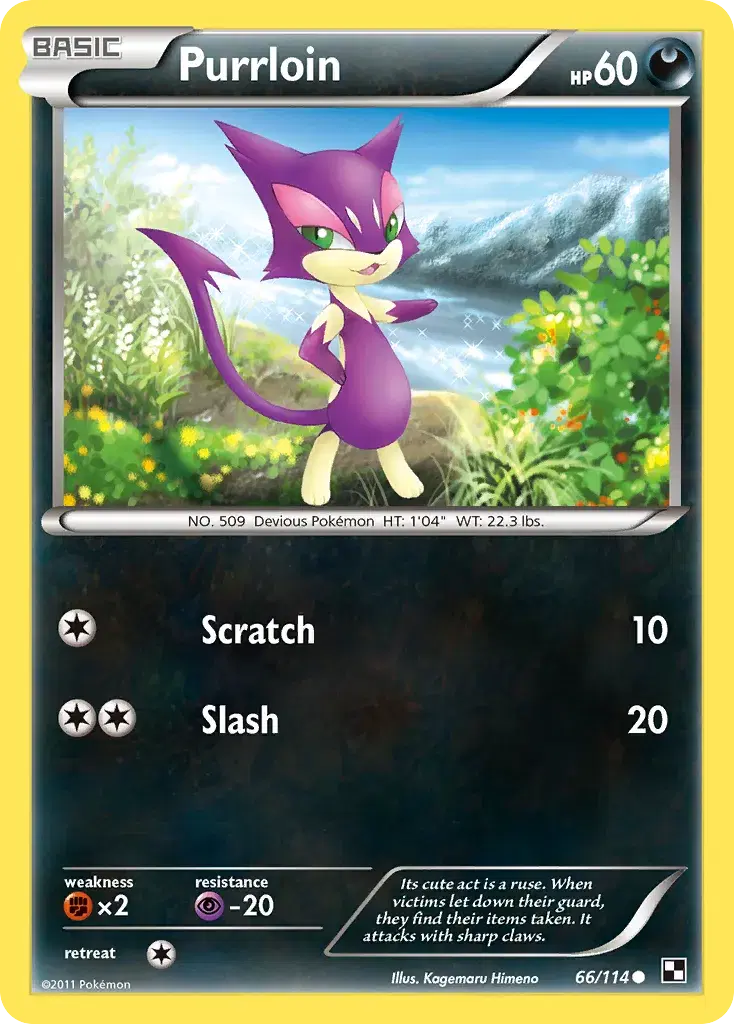 Purrloin Black & White 66