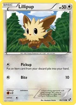 Lillipup Black & White