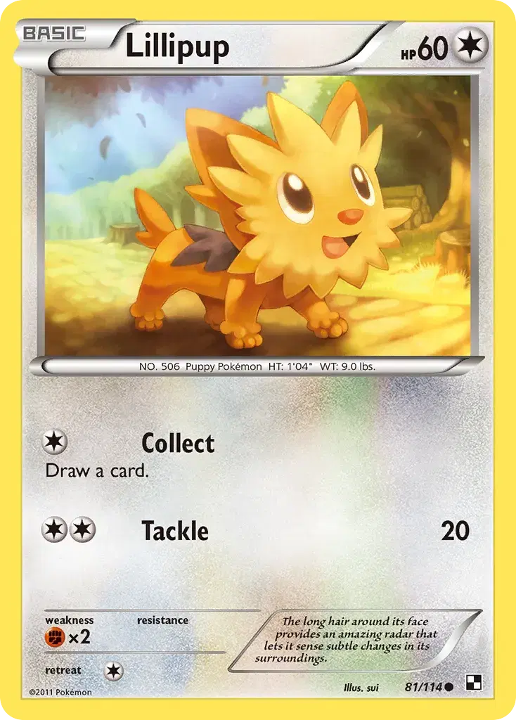 Lillipup Black & White 81