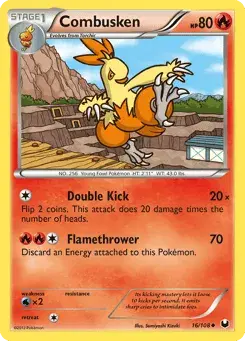 Combusken Dark Explorers
