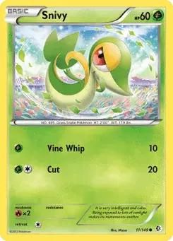 Snivy Boundaries Crossed