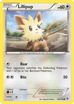 Lillipup Boundaries Crossed