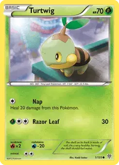 Turtwig Plasma Storm