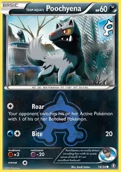 Team Aqua's Poochyena Double Crisis