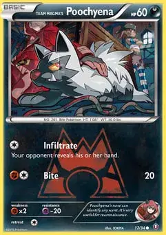 Team Magma's Poochyena Double Crisis
