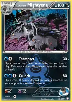 Team Aqua's Mightyena Double Crisis