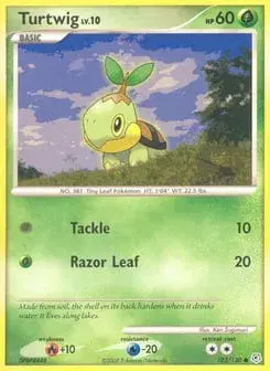 Turtwig Diamond & Pearl