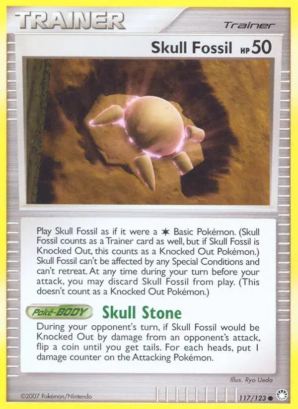 Skull Fossil Mysterious Treasures 117