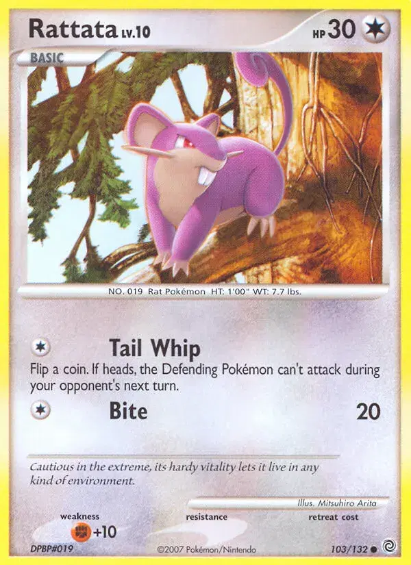Rattata Secret Wonders 103