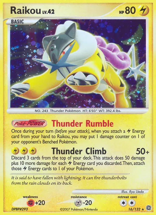 Raikou Secret Wonders 16