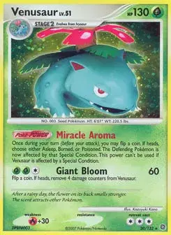Venusaur Secret Wonders