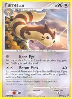 Furret Secret Wonders