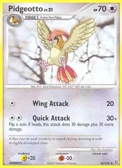 Pidgeotto Secret Wonders
