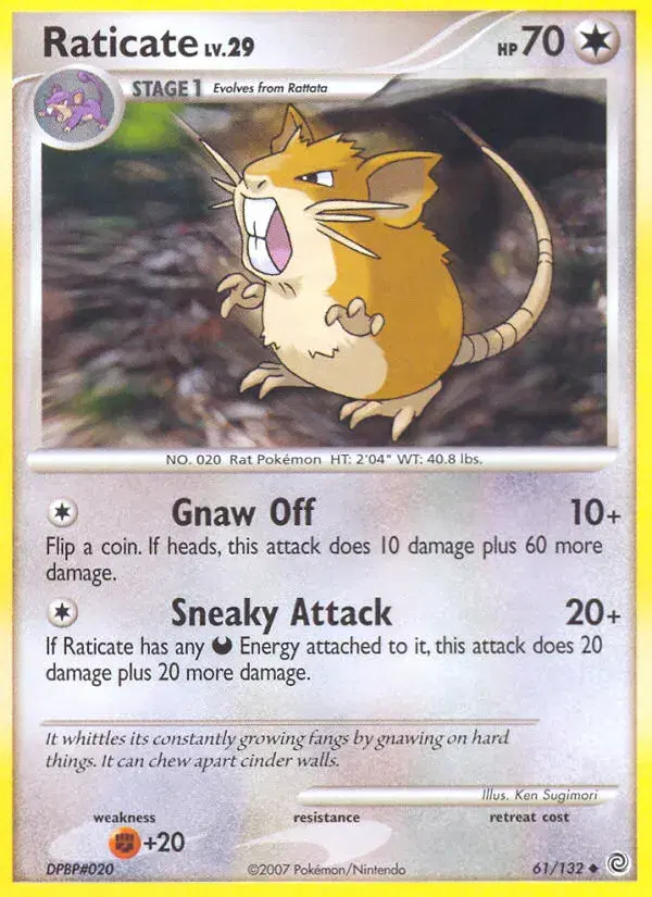 Raticate Secret Wonders 61