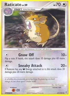 Raticate Secret Wonders