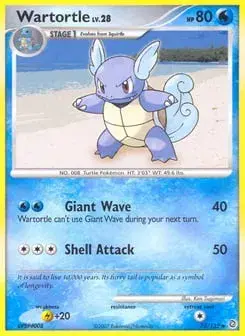 Wartortle Secret Wonders