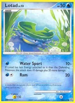 Lotad Secret Wonders