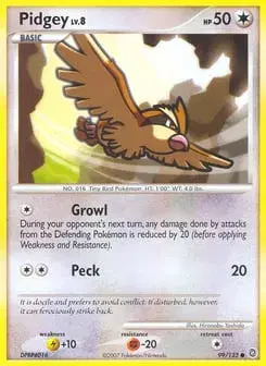 Pidgey Secret Wonders