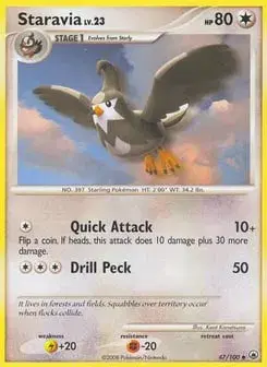 Staravia Majestic Dawn