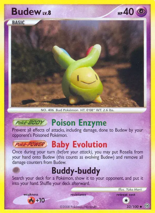Budew Stormfront 33