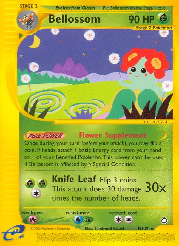 Bellossom Aquapolis 5