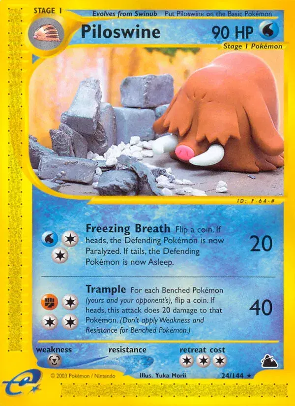 Piloswine Skyridge 24