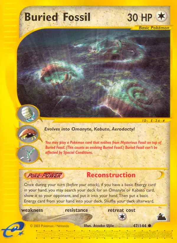 Buried Fossil Skyridge 47