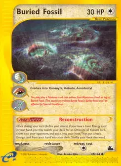 Buried Fossil Skyridge