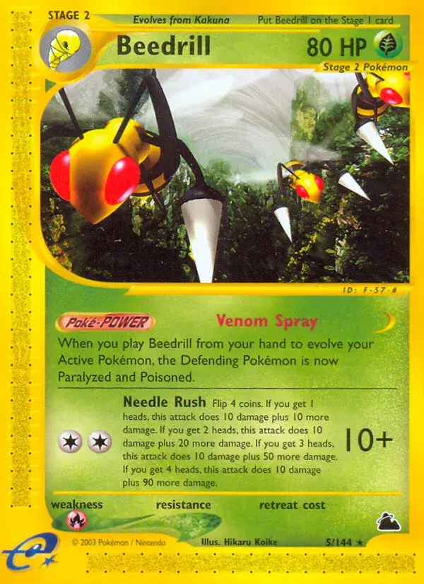 Beedrill Skyridge 5