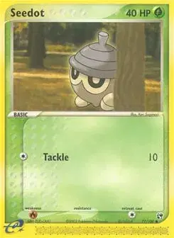 Seedot Sandstorm