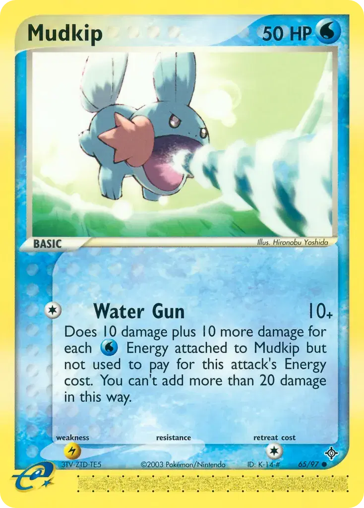 Mudkip Dragon 65
