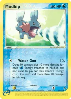Mudkip Dragon
