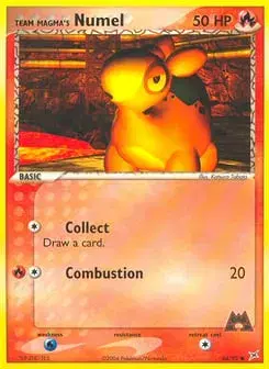 Team Magma's Numel Team Magma vs Team Aqua