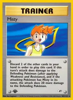 Misty Gym Heroes