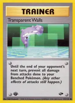 Transparent Walls Gym Challenge