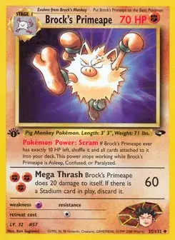 Brock's Primeape Gym Challenge