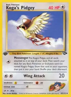 Koga's Pidgey Gym Challenge