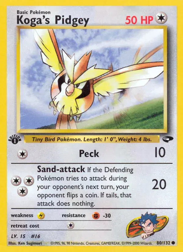 Koga's Pidgey Gym Challenge 80