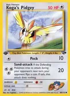 Koga's Pidgey Gym Challenge